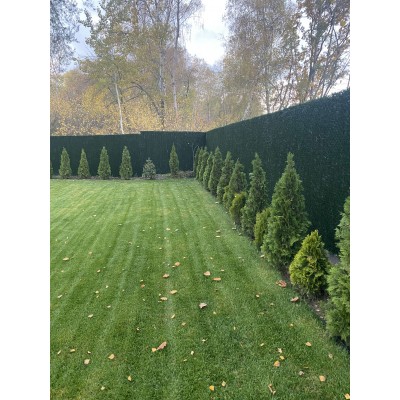 Зелений паркан Co-Group змішаного кольору H-2.80м х 10м в рулоні