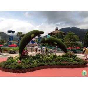 Зелені декоративні конструкції