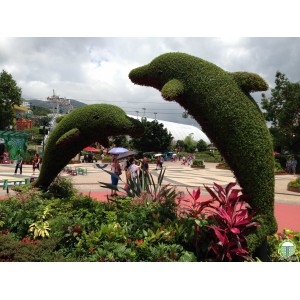 Зелені декоративні конструкції