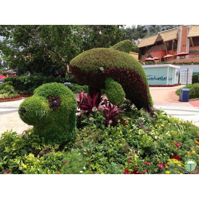 Зелені декоративні конструкції  Зелений паркан