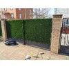 Зелені декоративні конструкції  Зелений паркан
