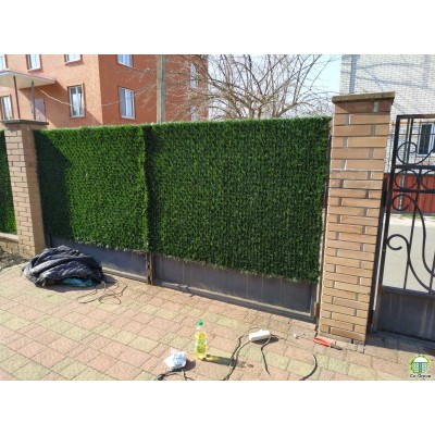 Зелені декоративні конструкції  Зелений паркан