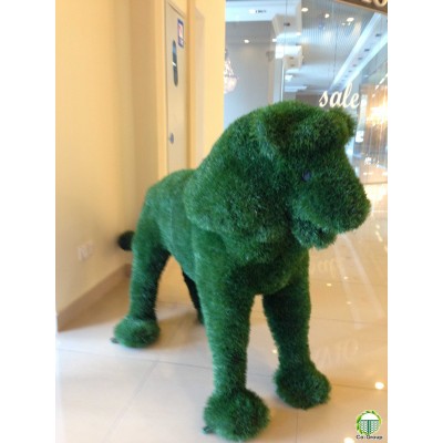 Зелені декоративні конструкції  Зелений паркан