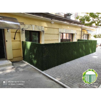 Зелені декоративні конструкції  Зелений паркан