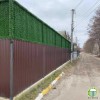 Зелені декоративні конструкції  Зелений паркан