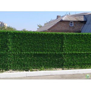 Зелений секційний забор (паркан)