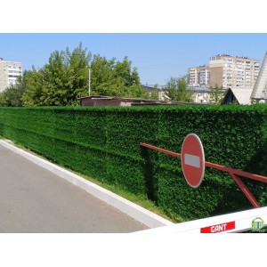 Секція огорожі  3D Standart  2.5х1.0м декорована  ПВХ у вигляді хвої 55х200 ОЦ+RAL